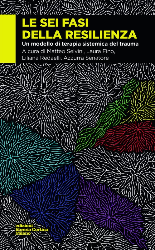 Le sei fasi della resilienza