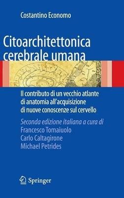 Citoarchitettonica cerebrale umana